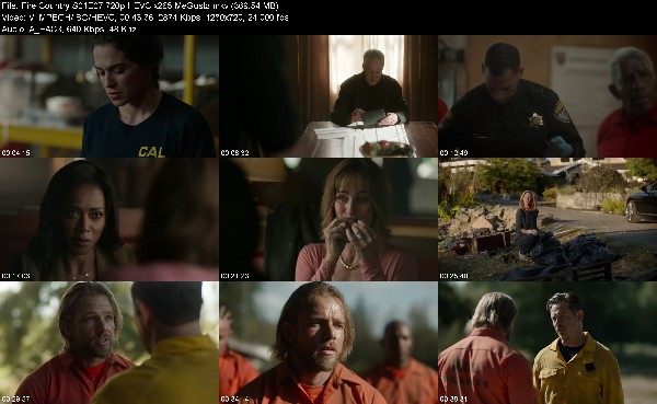 321958069_fire-country-s01e07-720p-hevc-x265-megusta.jpg