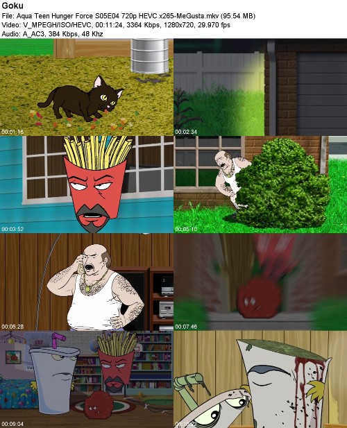 296989877_aqua-teen-hunger-force-s05e04-720p-hevc-x265-megusta.jpg