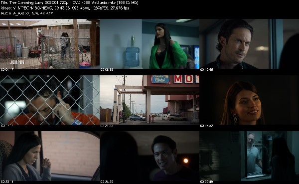 307034958_the-cleaning-lady-s02e01-720p-hevc-x265-megusta.jpg