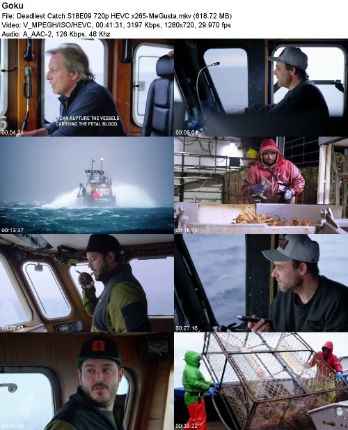 289585432_deadliest-catch-s18e09-720p-hevc-x265-megusta.jpg