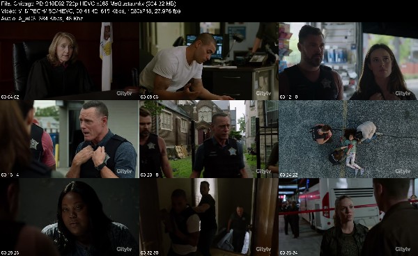 308810424_chicago-pd-s10e02-720p-hevc-x265-megusta.jpg
