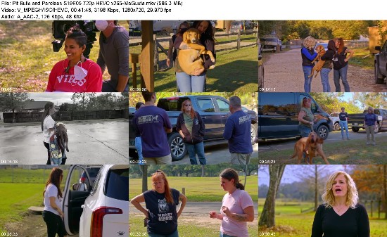 319810014_pit-bulls-and-parolees-s19e05-720p-hevc-x265-megusta.jpg