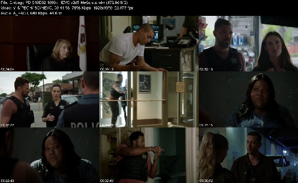 308840703_chicago-pd-s10e02-1080p-hevc-x265-megusta.jpg