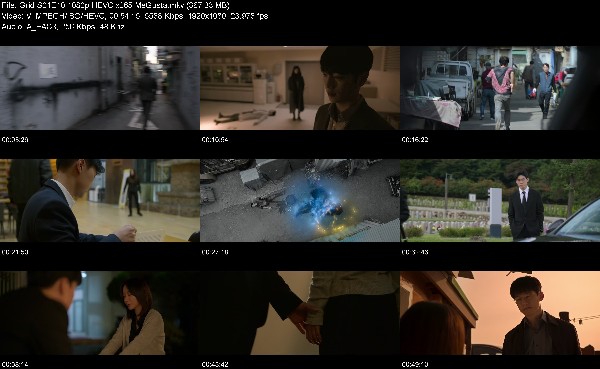 304942560_grid-s01e10-1080p-hevc-x265-megusta.jpg