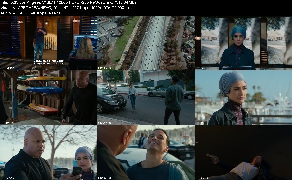 313717937_ncis-los-angeles-s13e19-1080p-hevc-x265-megusta.jpg