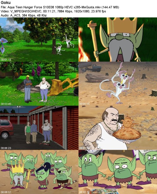 297046562_aqua-teen-hunger-force-s10e08-1080p-hevc-x265-megusta.jpg