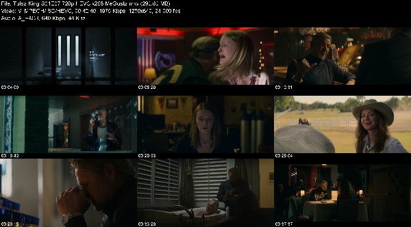 328595091_tulsa-king-s01e07-720p-hevc-x265-megusta.jpg