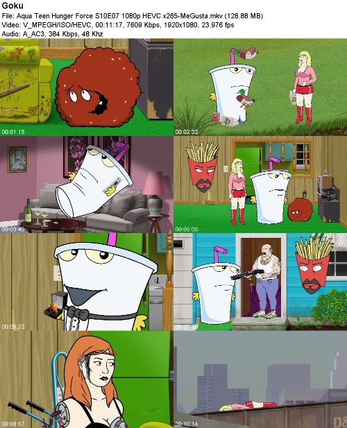 297048583_aqua-teen-hunger-force-s10e07-1080p-hevc-x265-megusta.jpg