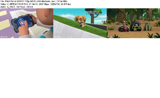 323425089_paw-patrol-s07e12-720p-hevc-x265-megusta.jpg