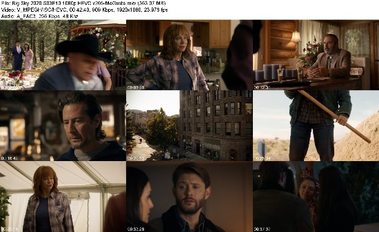 323454102_big-sky-2020-s03e10-1080p-hevc-x265-megusta.jpg