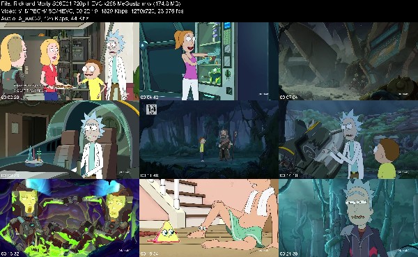 304796196_rick-and-morty-s06e01-720p-hevc-x265-megusta.jpg