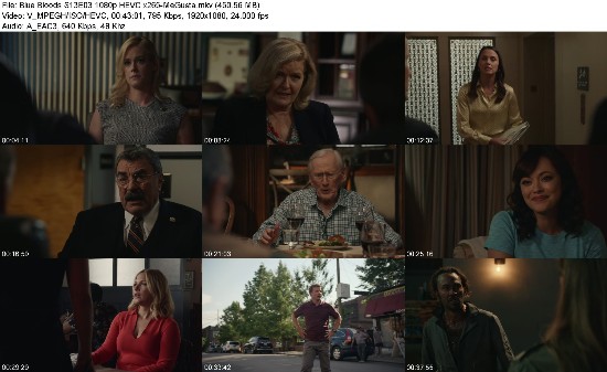 314075837_blue-bloods-s13e03-1080p-hevc-x265-megusta.jpg