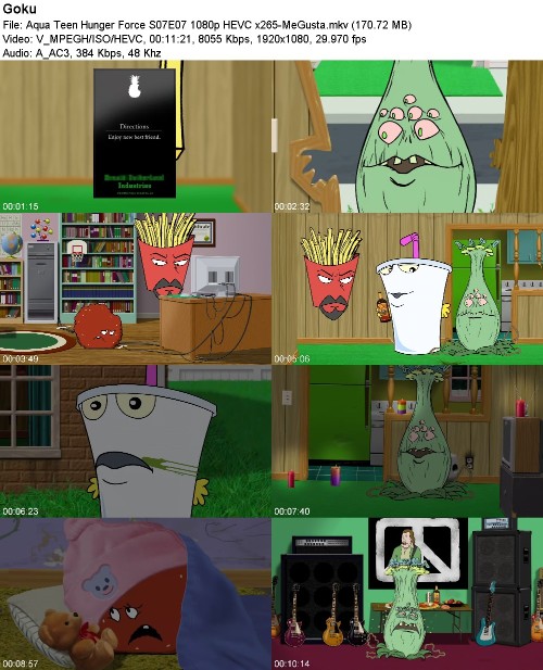 297035634_aqua-teen-hunger-force-s07e07-1080p-hevc-x265-megusta.jpg