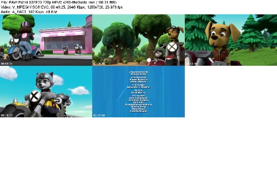 323428803_paw-patrol-s07e23-720p-hevc-x265-megusta.jpg