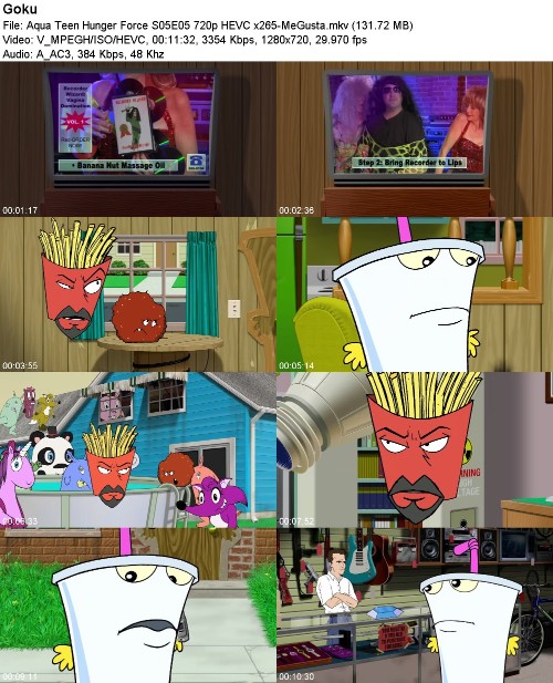 296990302_aqua-teen-hunger-force-s05e05-720p-hevc-x265-megusta.jpg