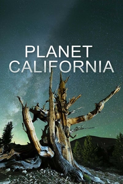 292636492_planet-california-s01e02-720p-hevc-x265-megusta.jpg