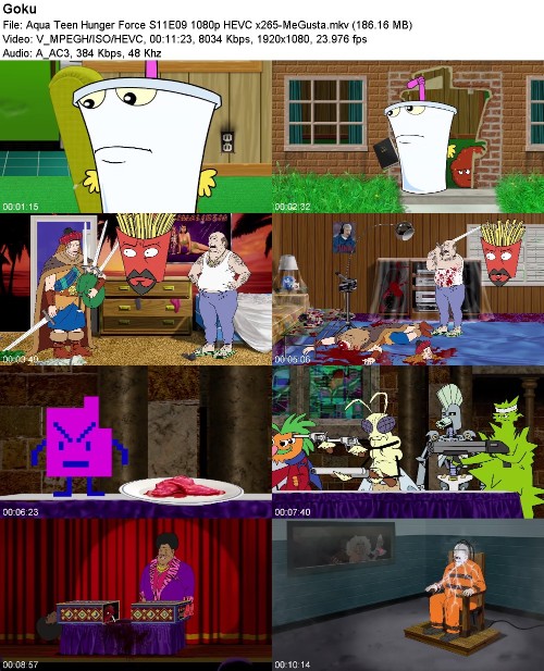 297057907_aqua-teen-hunger-force-s11e09-1080p-hevc-x265-megusta.jpg