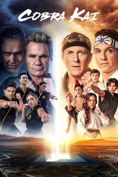 304733962_cobra-kai-s05e06-720p-hevc-x265-megusta.jpg