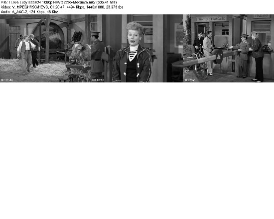 323906753_i-love-lucy-s05e24-1080p-hevc-x265-megusta.jpg