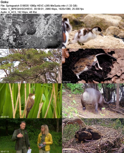 288290587_springwatch-s18e05-1080p-hevc-x265-megusta.jpg