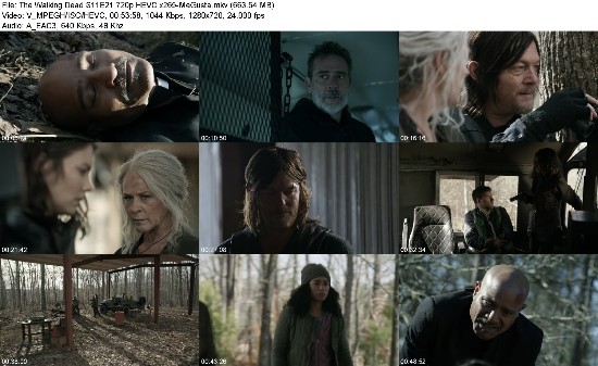 314199559_the-walking-dead-s11e21-720p-hevc-x265-megusta.jpg