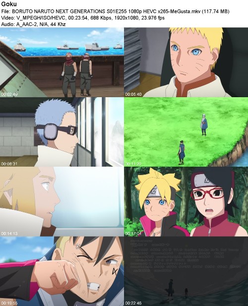 291454441_boruto-naruto-next-generations-s01e255-1080p-hevc-x265-megusta.jpg