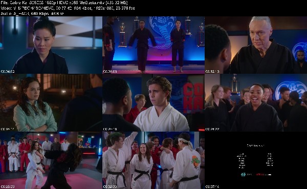 304711205_cobra-kai-s05e08-1080p-hevc-x265-megusta.jpg