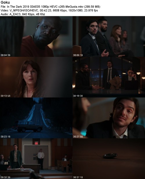 294220489_in-the-dark-2019-s04e05-1080p-hevc-x265-megusta.jpg