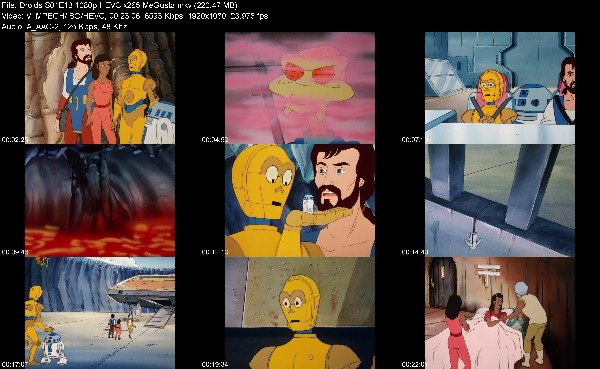 312489068_droids-s01e13-1080p-hevc-x265-megusta.jpg
