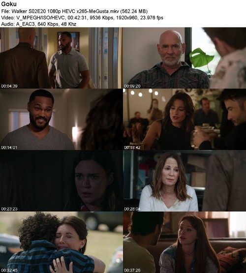 291202915_walker-s02e20-1080p-hevc-x265-megusta.jpg