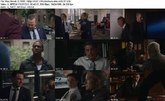 316896447_blue-bloods-s13e05-1080p-hevc-x265-megusta.jpg