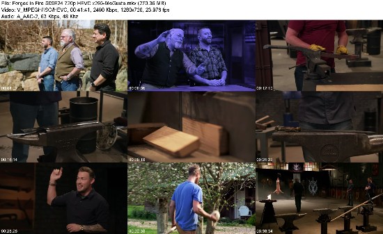 313598131_forged-in-fire-s09e24-720p-hevc-x265-megusta.jpg