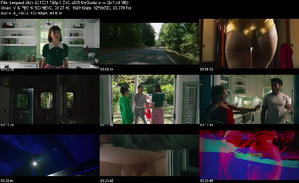 319336956_leopard-skin-s01e01-720p-hevc-x265-megusta.jpg