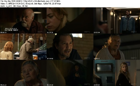 328358465_big-sky-2020-s03e11-720p-hevc-x265-megusta.jpg