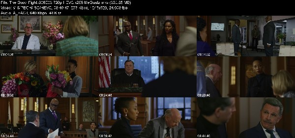 307438790_the-good-fight-s06e03-720p-hevc-x265-megusta.jpg