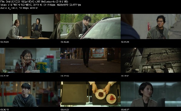 304810337_grid-s01e02-1080p-hevc-x265-megusta.jpg