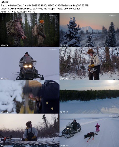 296175584_life-below-zero-canada-s02e05-1080p-hevc-x265-megusta.jpg