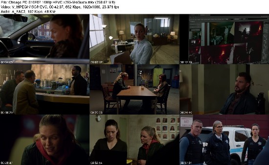 318000868_chicago-pd-s10e07-1080p-hevc-x265-megusta.jpg