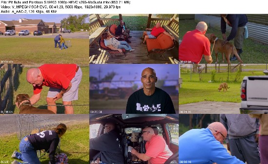 316996079_pit-bulls-and-parolees-s19e03-1080p-hevc-x265-megusta.jpg