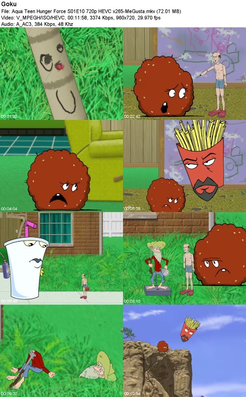 296959483_aqua-teen-hunger-force-s01e10-720p-hevc-x265-megusta.jpg