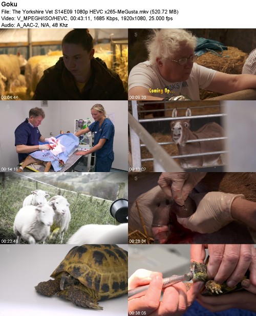 290841133_the-yorkshire-vet-s14e09-1080p-hevc-x265-megusta.jpg