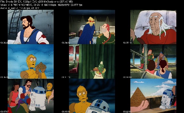 312516560_droids-s01e12-1080p-hevc-x265-megusta.jpg