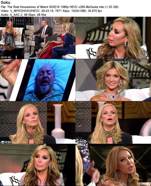 297196656_the-real-housewives-of-miami-s03e16-1080p-hevc-x265-megusta.jpg