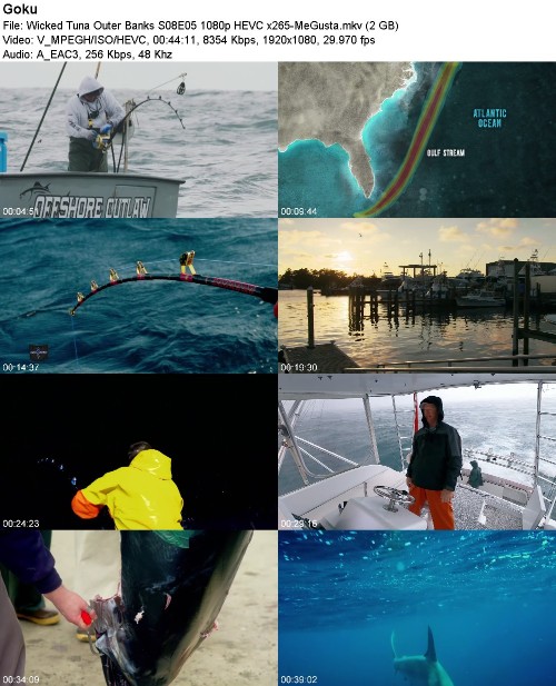 299922411_wicked-tuna-outer-banks-s08e05-1080p-hevc-x265-megusta.jpg