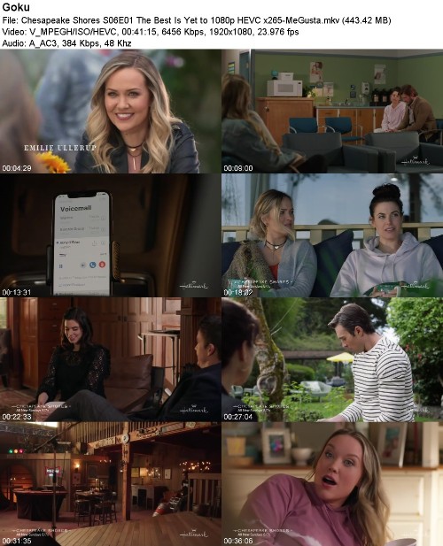 300135252_chesapeake-shores-s06e01-the-best-is-yet-to-1080p-hevc-x265-megusta.jpg