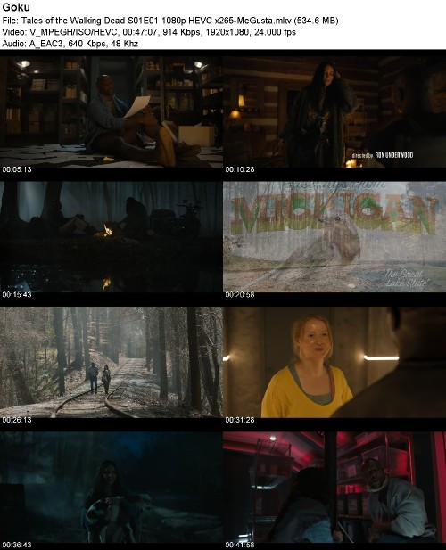 299570608_tales-of-the-walking-dead-s01e01-1080p-hevc-x265-megusta.jpg