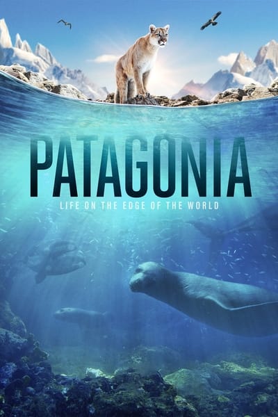 317363619_patagonia-life-on-the-edge-of-the-world-s01e05-forests-1080p-hevc-x265-megusta.jpg