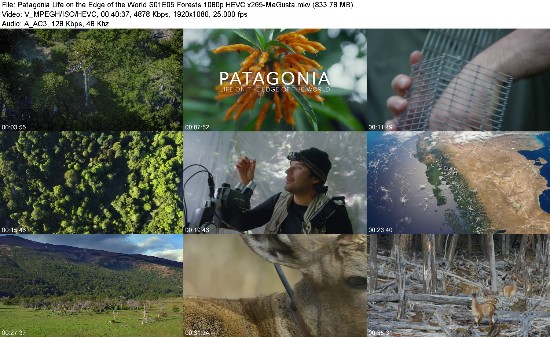 317363707_patagonia-life-on-the-edge-of-the-world-s01e05-forests-1080p-hevc-x265-megusta.jpg