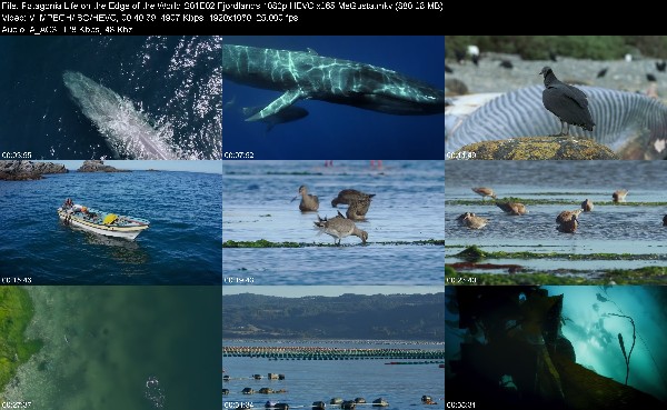 318896063_patagonia-life-on-the-edge-of-the-world-s01e02-fjordlands-1080p-hevc-x265-megust.jpg