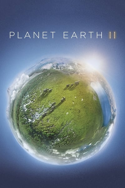 320151866_planet-earth-ii-2016-2160p-h265-dts-hd-episode-5-pebbles104.jpg